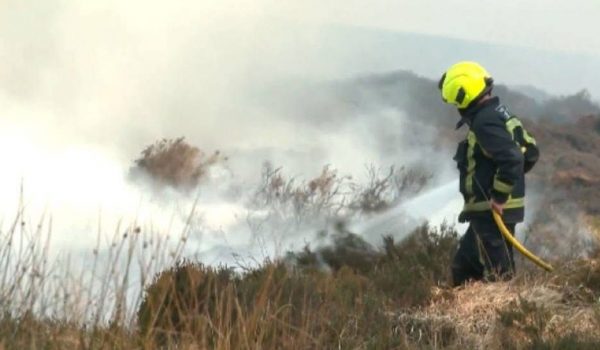 Gorse Fires