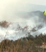 Gorse Fires